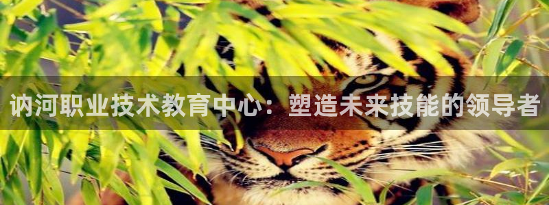 j9九游会网址是什么|讷河职业技术教育中心：塑造未来技能的领导者