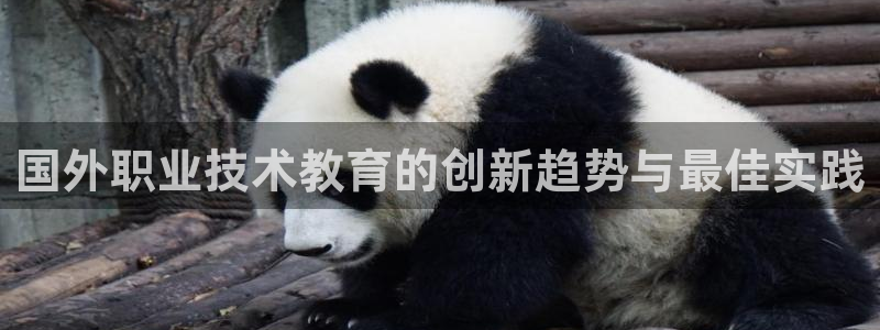 ag亚洲游戏国际平台|国外职业技术教育的创新趋势与最佳实践